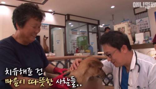 처음엔 괴물인 줄 알았어요
