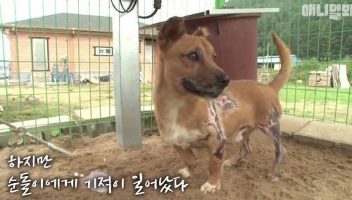 처음엔 괴물인 줄 알았어요