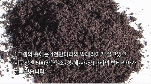 신경 쓰이게 만들어드립니다