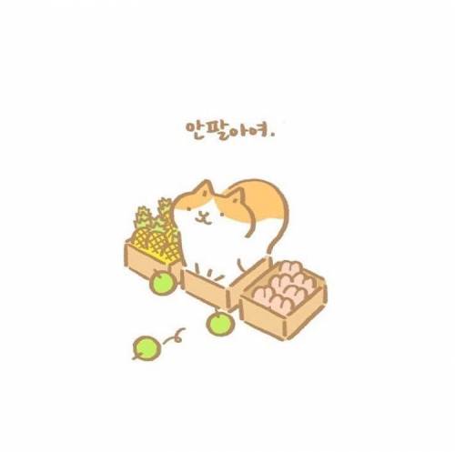 과일가게.jpg