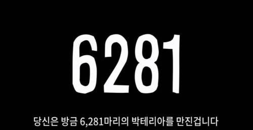 신경 쓰이게 만들어드립니다