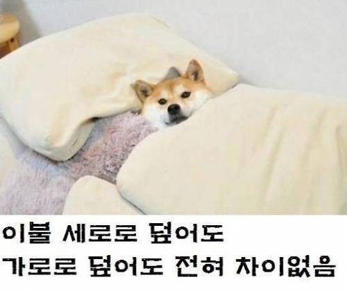 키가 작으면 좋은점.jpg