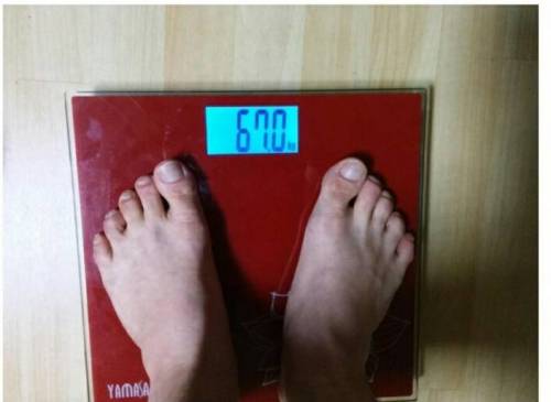 디씨인의 피자다이어트