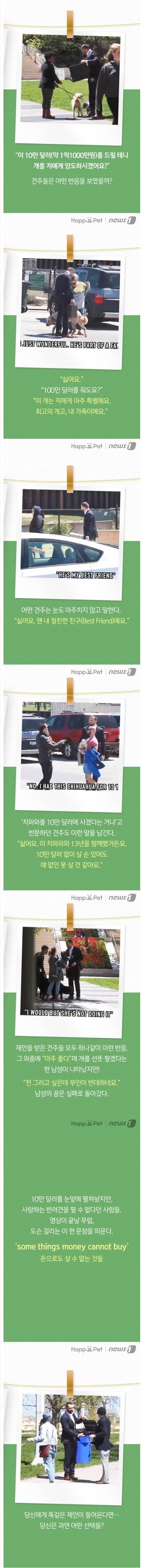 당신의 개를 1억원에 사겠습니다