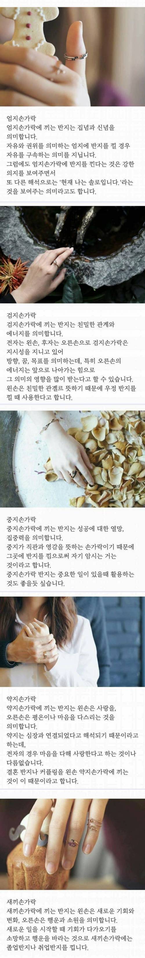 손가락 위치별 반지의 의미