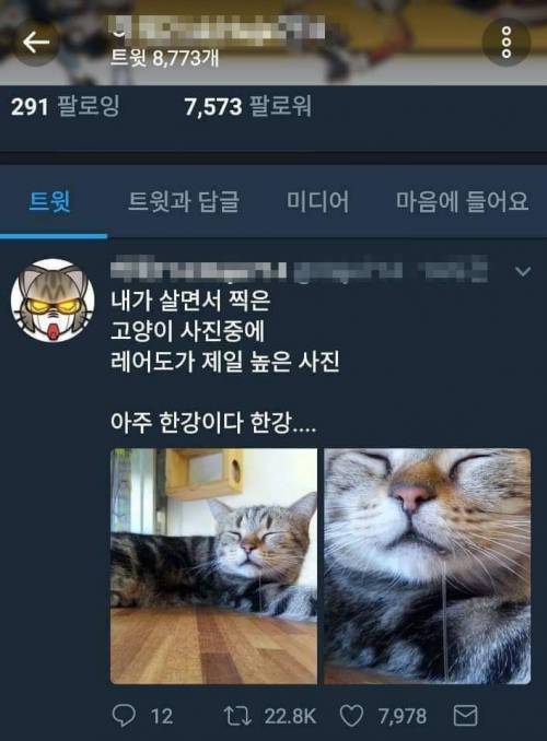 셀프 기억 날조.jpg