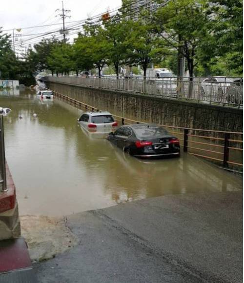 물 빠진 청주.jpg