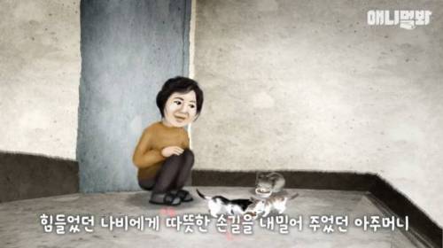 뻔뻔한 길고양이 순산 프로젝트