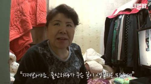 뻔뻔한 길고양이 순산 프로젝트