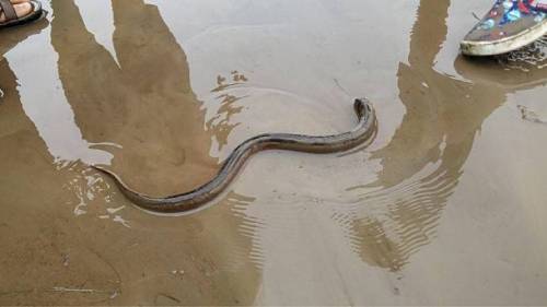 물 빠진 청주.jpg