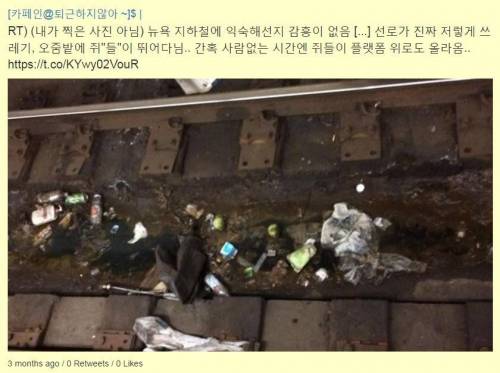 외국인들이 한국 지하철을 극찬하는 이유.jpg
