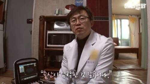 뻔뻔한 길고양이 순산 프로젝트