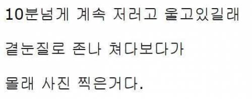 공원에서 귀신봤어요.jpg