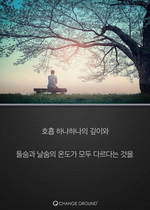 스티브 잡스가 열광한 최고의 휴식법.jpg
