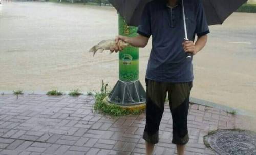 물 빠진 청주.jpg