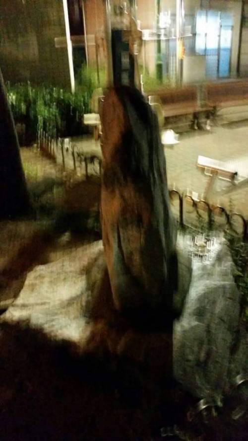 공원에서 귀신봤어요.jpg