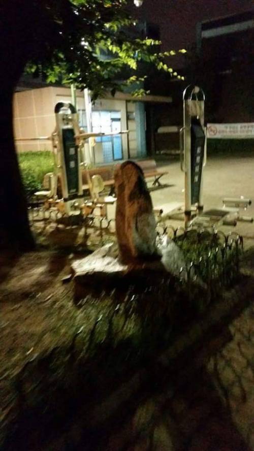 공원에서 귀신봤어요.jpg