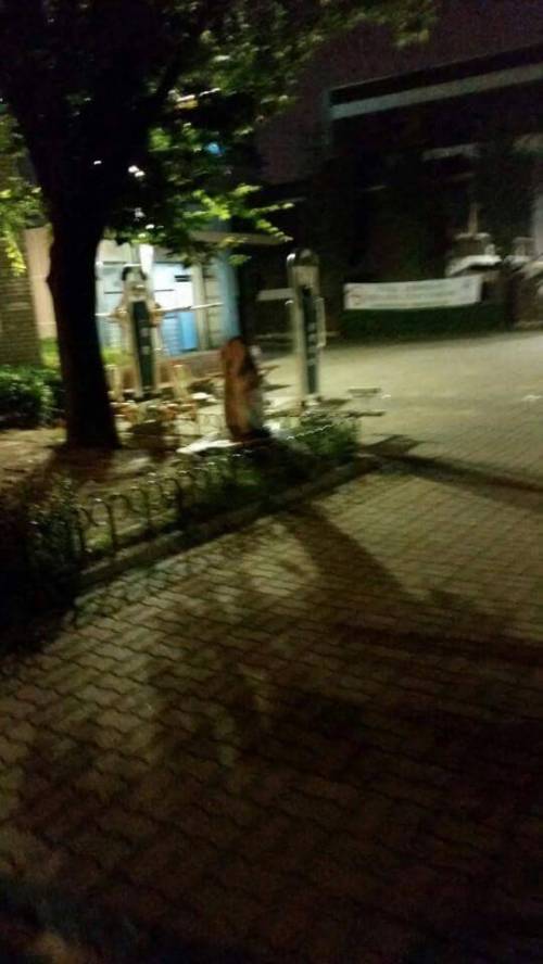 공원에서 귀신봤어요.jpg