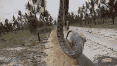 나 죽었음 진짜임.gif