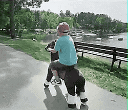 천조국 아이들의 인기상품.gif