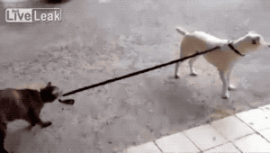 아오 집에 좀 가자고!!!.gif