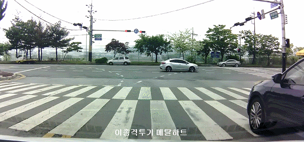 고갱님 9대1 나왔습니다.gif