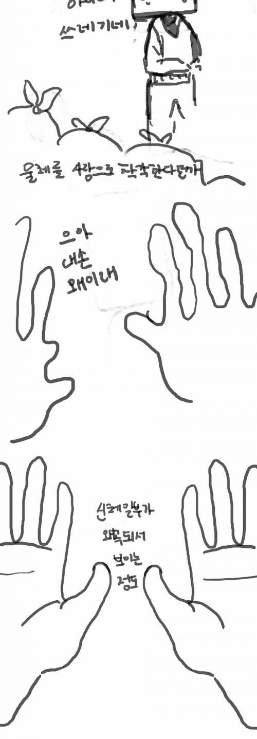 자소서 만화02.jpg