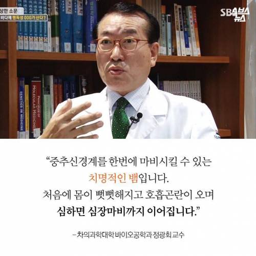 해수온도 상승으로 부산에 출몰하게 된 바다뱀.jpg