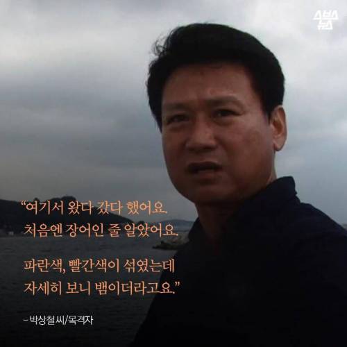 해수온도 상승으로 부산에 출몰하게 된 바다뱀.jpg