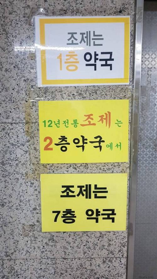 조제 전쟁.jpg