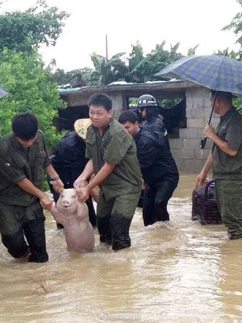 나 구출된건가..