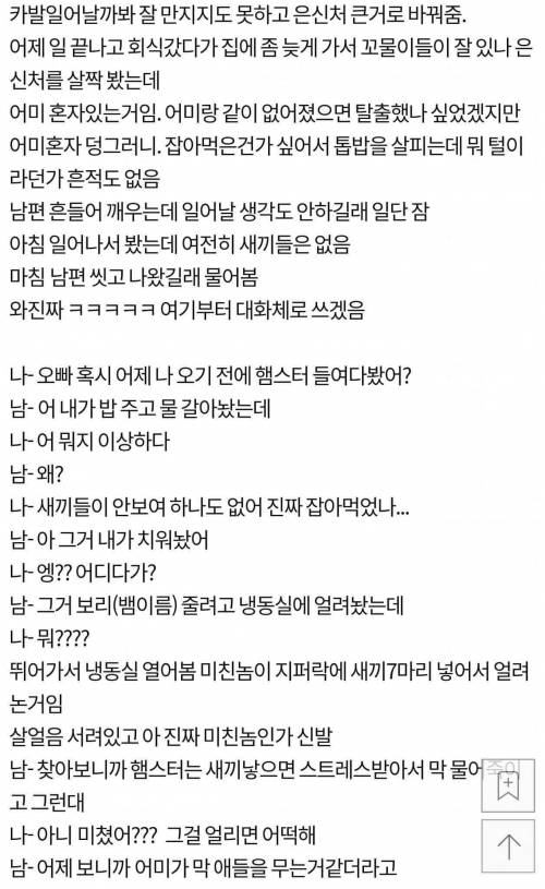 햄스터때문에 이혼하게 생김.jpg