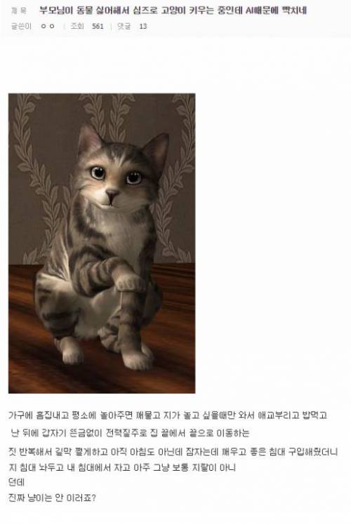 집에서 고양이 키우는거 반대해서 심즈에서 키우는데요