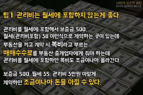 월세 방 구할때 TIP.jpg