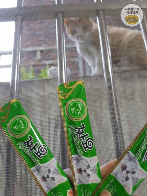 반지하라 좋은 점??.jpg