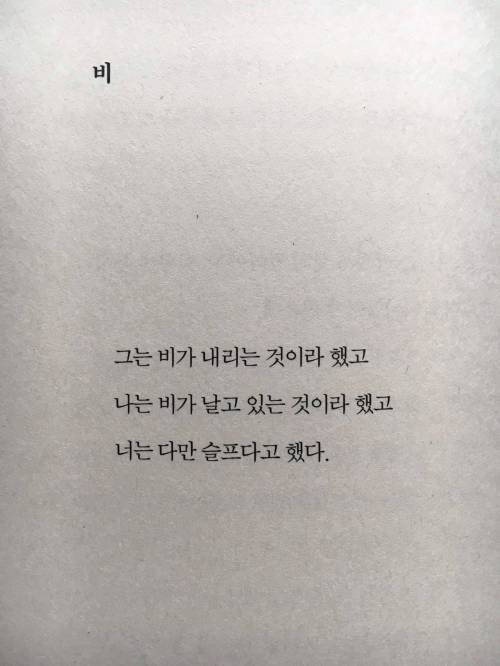 비가 날고 있다