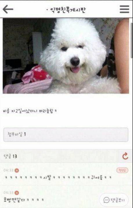 아무말 대잔치 모음.jpg