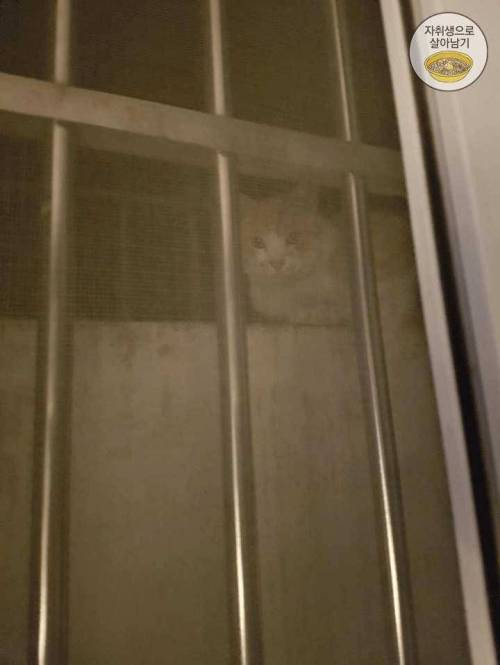 반지하라 좋은 점??.jpg