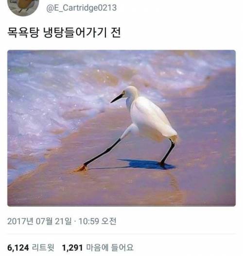 목욕탕 냉탕 들어각전.jpg