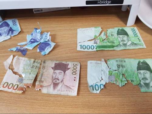 멍뭉이의 장난감.jpg