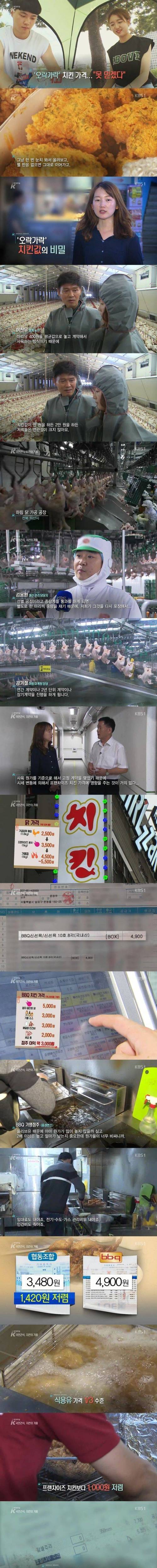 치킨의 거품.jpg