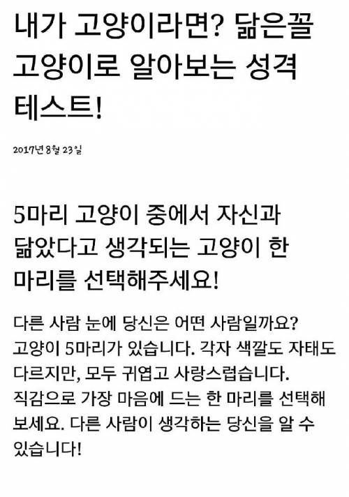 나와 닮은 고양이는?.jpg