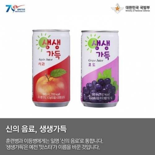 국방부가 뽑은 군대 간식 Best 5