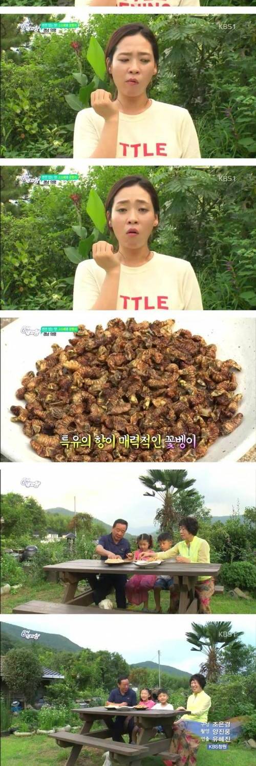 [혐오주의] 6시내고향 리포터 최대의 위기