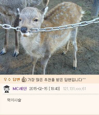 먹이 사슬.jpg