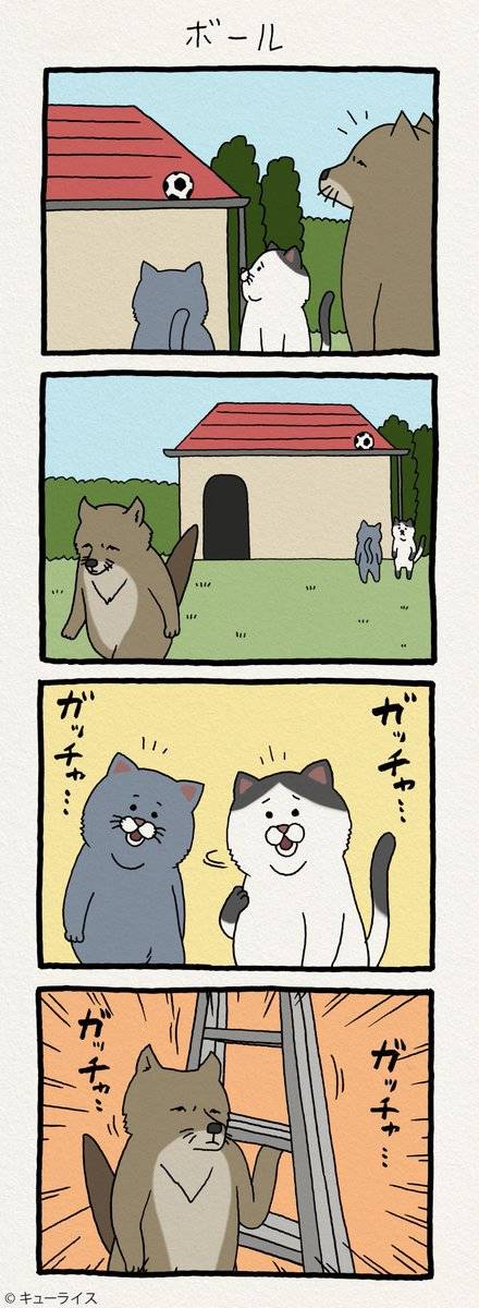 친절한 티벳여우씨.jpg