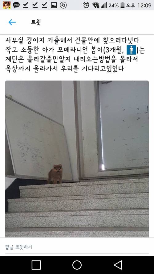 사무실 개가 없어졌다!