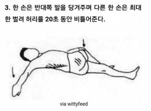 척추 운동합시다.jpg