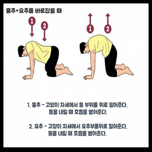 척추 운동합시다.jpg