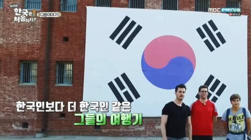 일본은 한국에게 사과해야 한다는 독일인들.jpg